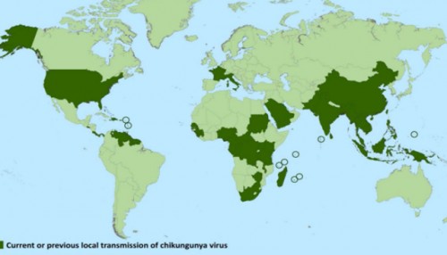 Chikungunya-¿Cómo-prevenirlo-por-Samir-Kabbabe-640